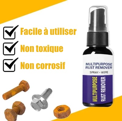🔥Ventes chaudes - 49% de réduction🎁SPRAY ANTIROUILLE POLYVALENT