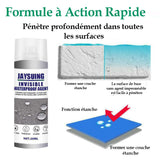 Spray de Réparation de Fuite - Gabon -
