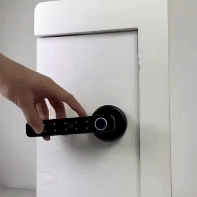 Poignée de déverrouillage de porte à empreinte digitale