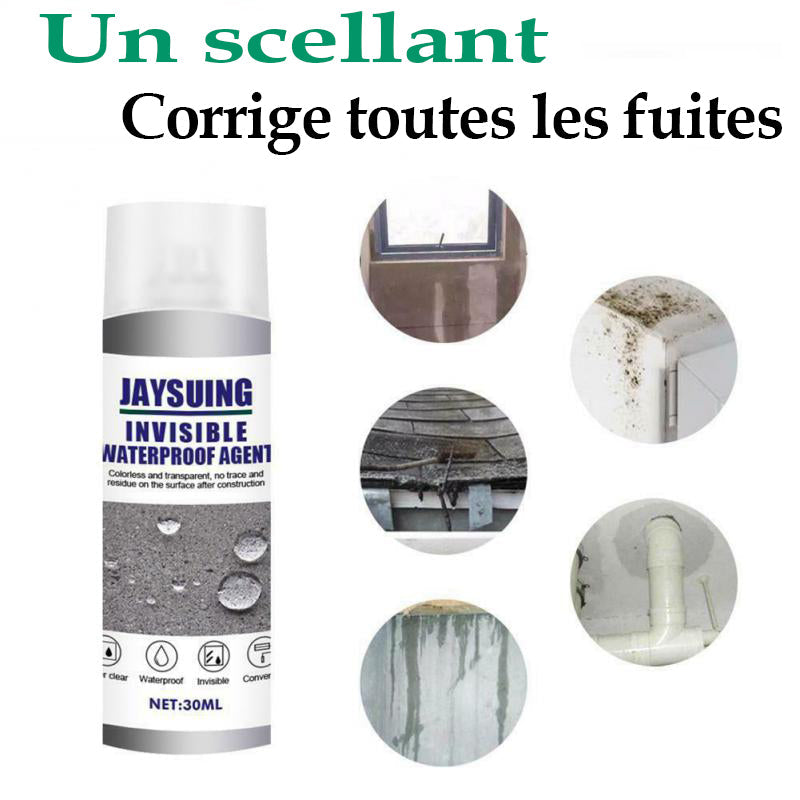 Spray de Réparation de Fuite - Burkina Faso -